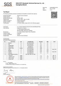 SHISHA TEST REPORT