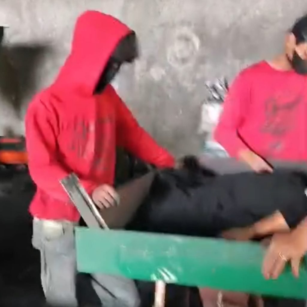 WhatsApp Image 2026-03-21 at 15.29.06