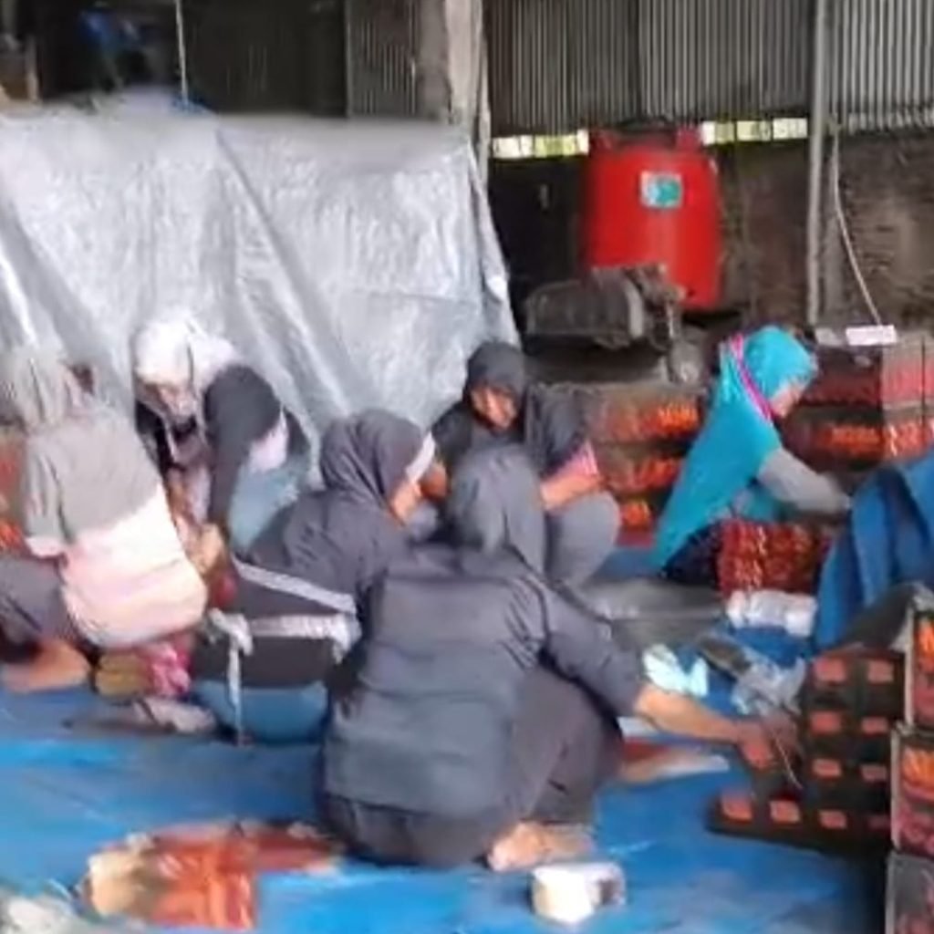 WhatsApp Image 2026-03-21 at 15.53.14